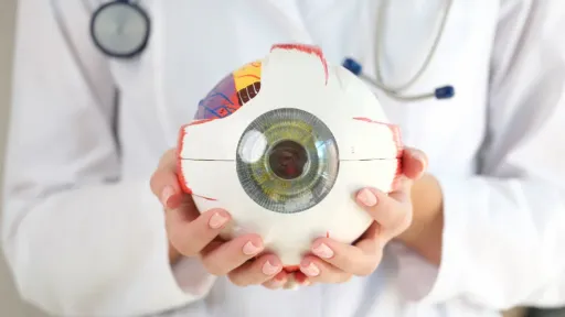 ส่วนประกอบของตา