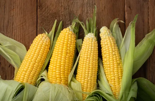 ข้าวโพด