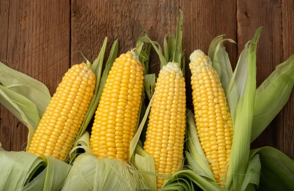 ข้าวโพด