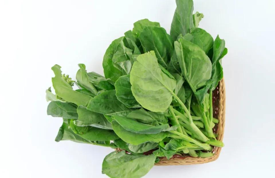 ผักคะน้า