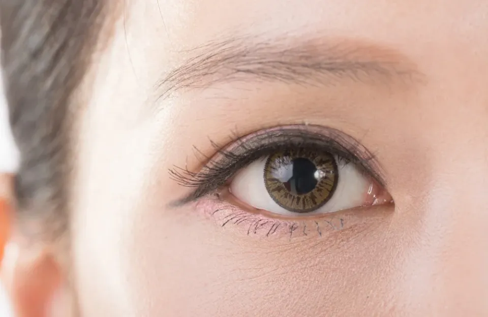  การมองเห็นเกิดขึ้นได้อย่างไร